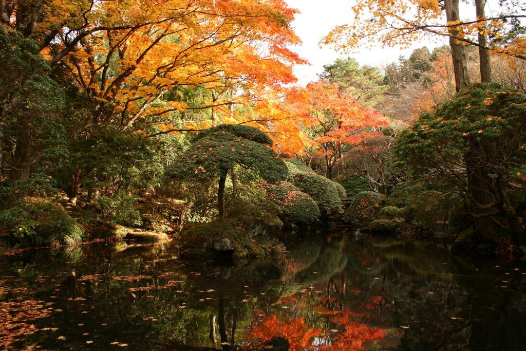 Senkyoro Otel Hakone Dış mekan fotoğraf