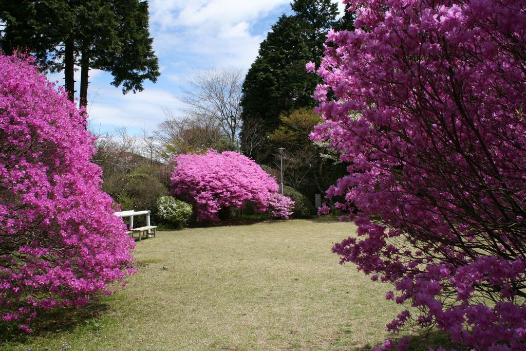 Senkyoro Otel Hakone Dış mekan fotoğraf