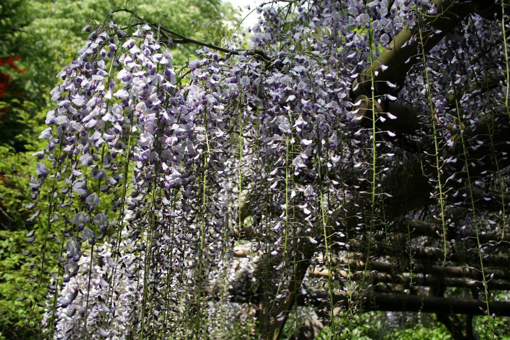 Senkyoro Otel Hakone Dış mekan fotoğraf
