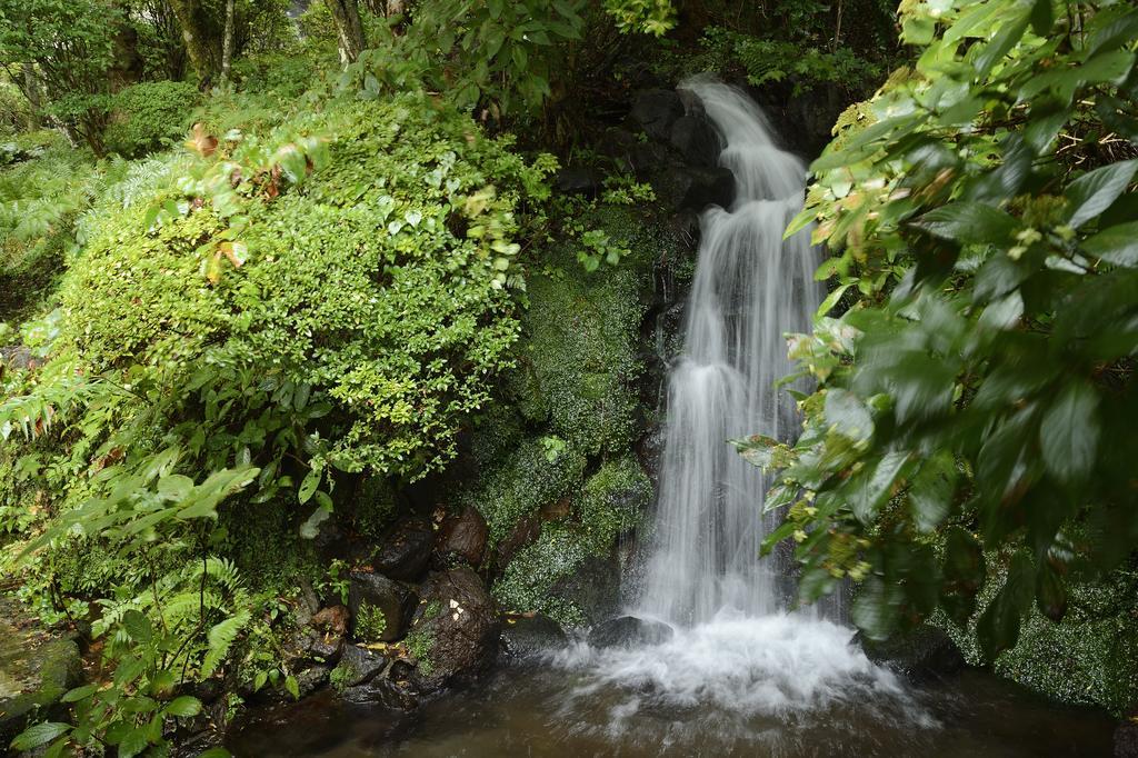 Senkyoro Otel Hakone Dış mekan fotoğraf