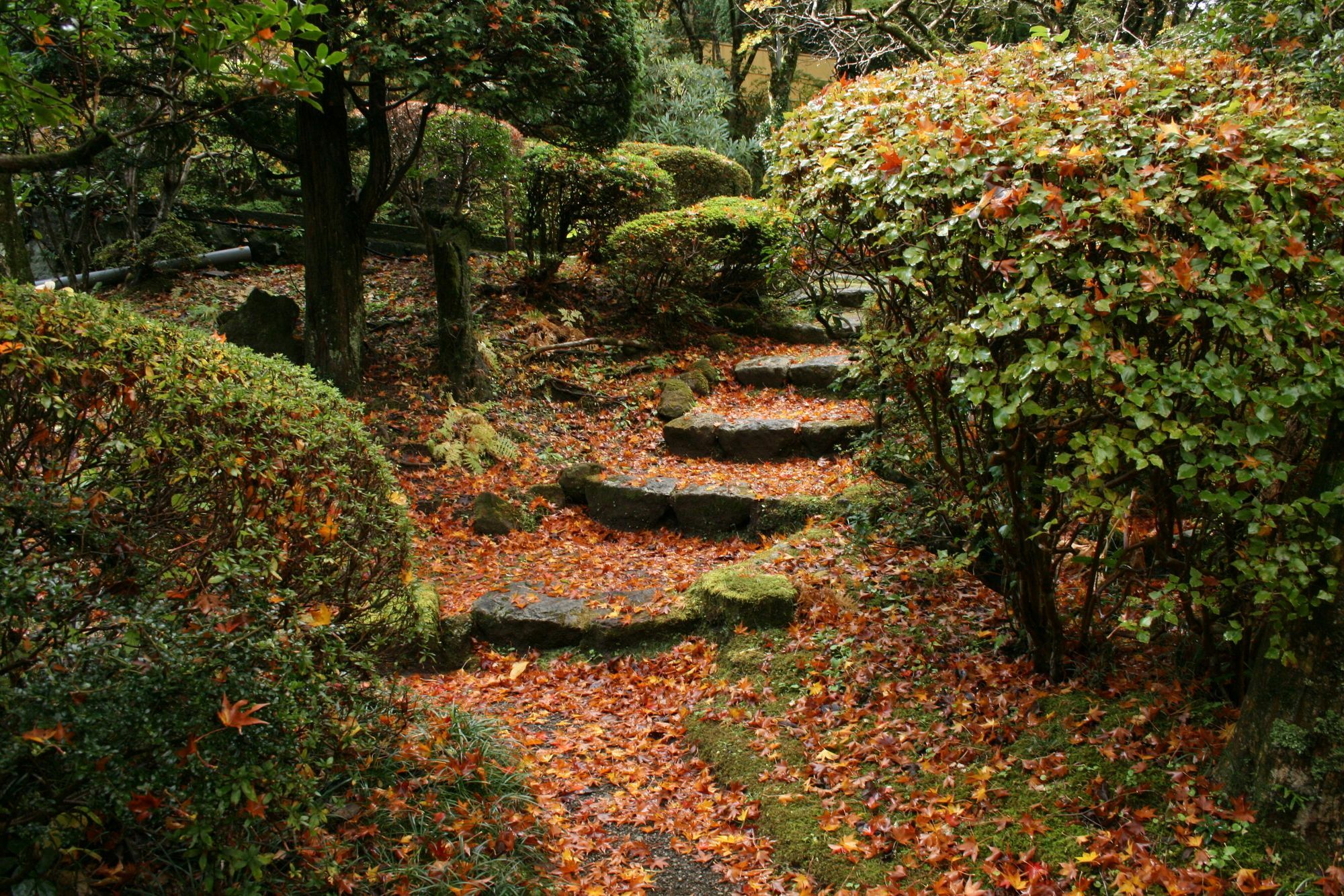 Senkyoro Otel Hakone Dış mekan fotoğraf
