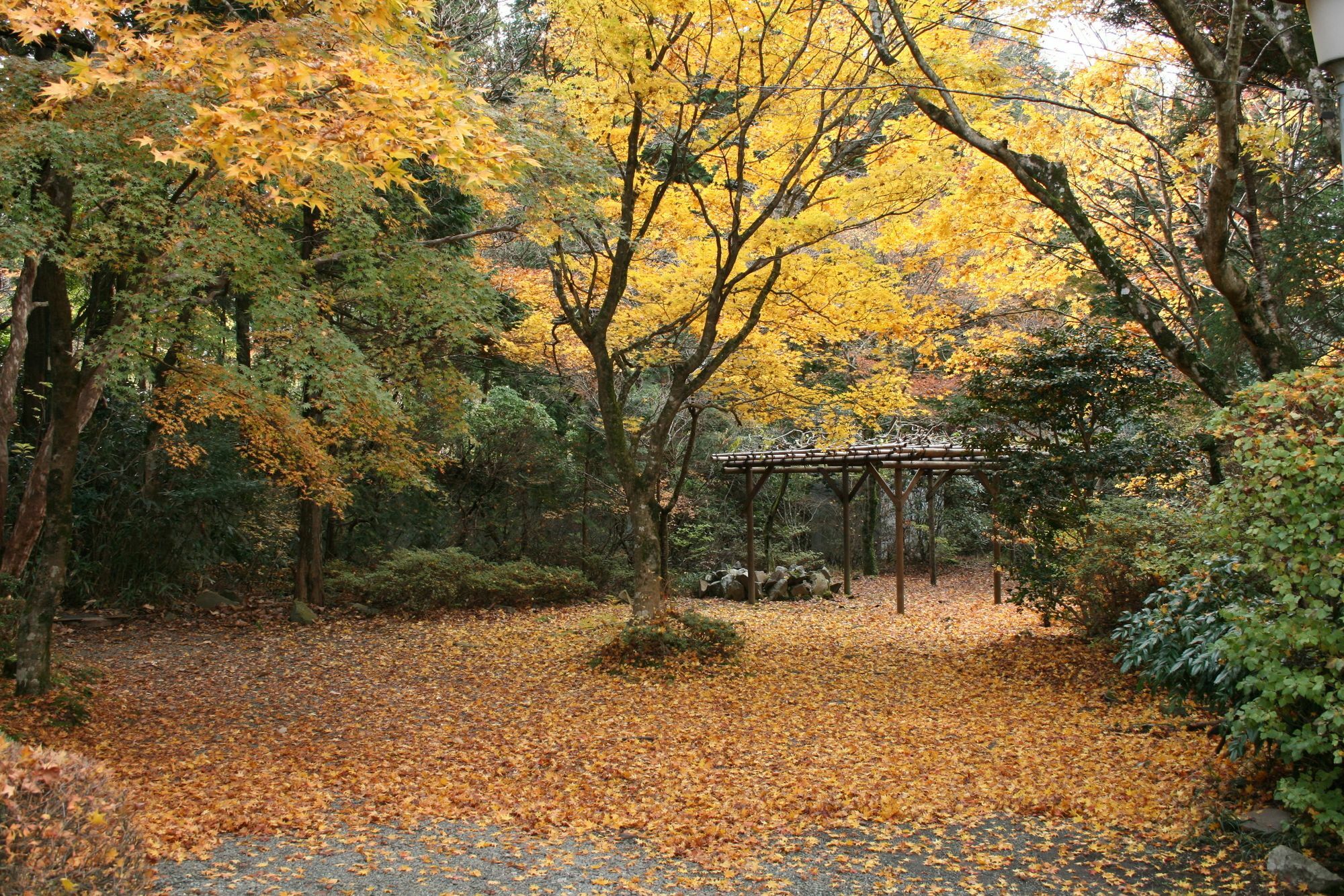 Senkyoro Otel Hakone Dış mekan fotoğraf